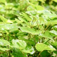 爱只是一种习惯,离开,改变习惯