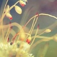 生命的句子是悲伤的:各种创伤都是成熟的