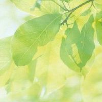 霸气的鼓舞人心的判决:痛苦我会让我更强壮