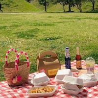 春季野餐发朋友圈的个性说说 2022春天野餐的朋友圈文案