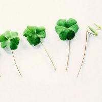 简短的感恩朋友圈文案(精选52句)