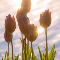 纪念第一次约会的说说 和男朋友第一次约会的说说