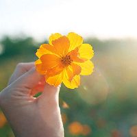 一些让人感觉温暖的小句子(精选38句)