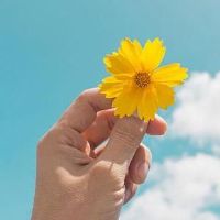 吸引人上热门的抖音文案(精选198句)