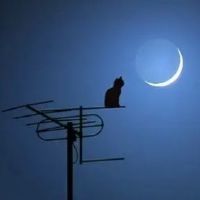 夜晚抑郁的伤感语录 适合凌晨三点发的说说