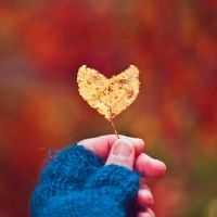 煽情真挚的表白文案短句(精选97句)