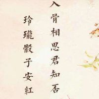 关于相思的唯美句子大全(xxx句)