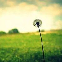 一句话说透人生(一句话说透人生正能量)