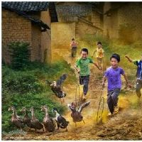 看着旧照片召回