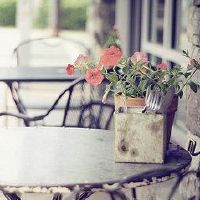 更哲学的句子：我不会谈论任何未来