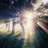 明天的阳光将准时到达，一切都会慢慢变得更好