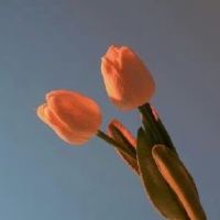 稳重大气的四个字网名 高雅不俗的个性网名4个字