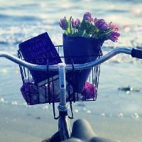 送走二月迎来三月的朋友圈句子(精选36句)