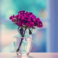 精选好听的四个字微信名(精选189个)