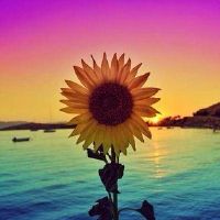 听起来暖心的网名大全 让人感到温暖的网名(精选70个)