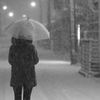 看透了伤感心碎的网名(精选89个)