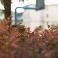 文艺有内涵的网名 文艺网名推荐(精选147个)