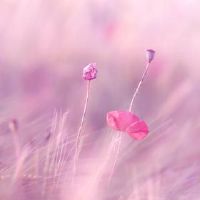 2022非常火爆的昵称符号(精选138个)