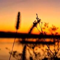 好看带符号的QQ网名大全(精选46个)