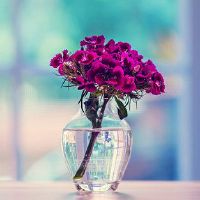 无关风月的温柔文案句子(精选95句)