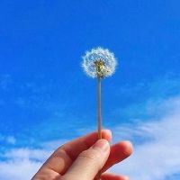 三观很正的文案短句(精选81句)