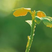 唯美简短的闺蜜友情句子