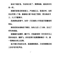 四年级优美句子大全集