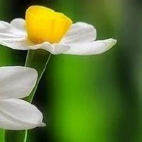 (日积月累) 关于颜色的好词好句