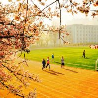 回忆学校往事的感慨句子