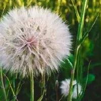 委屈巴巴的遗憾文案